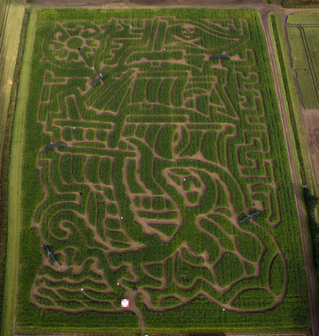 Milton Maize Maze