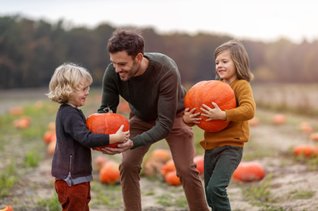 Milton Maize Maze Activity