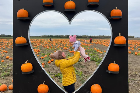 Milton Maize Maze Activity