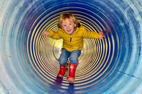 Milton Maize Maze Activity