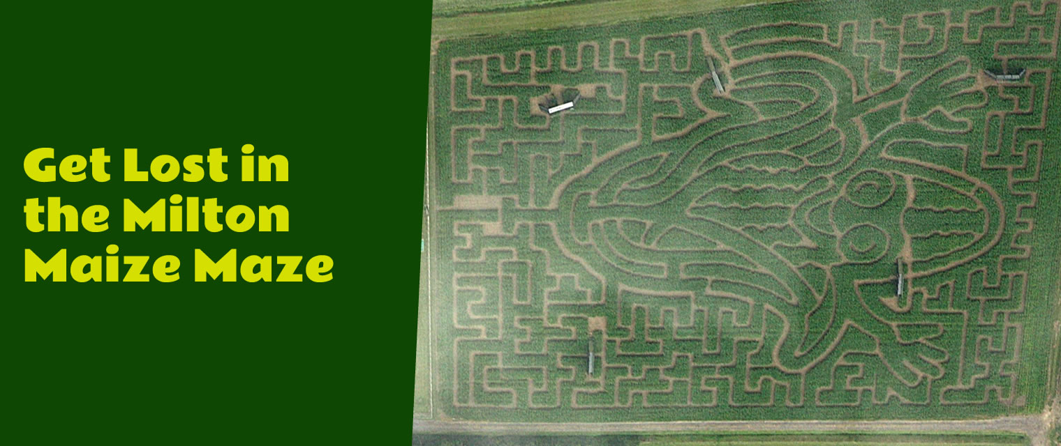 The Milton Maize Maze