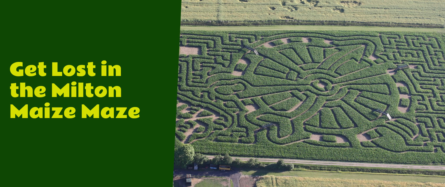 The Milton Maize Maze