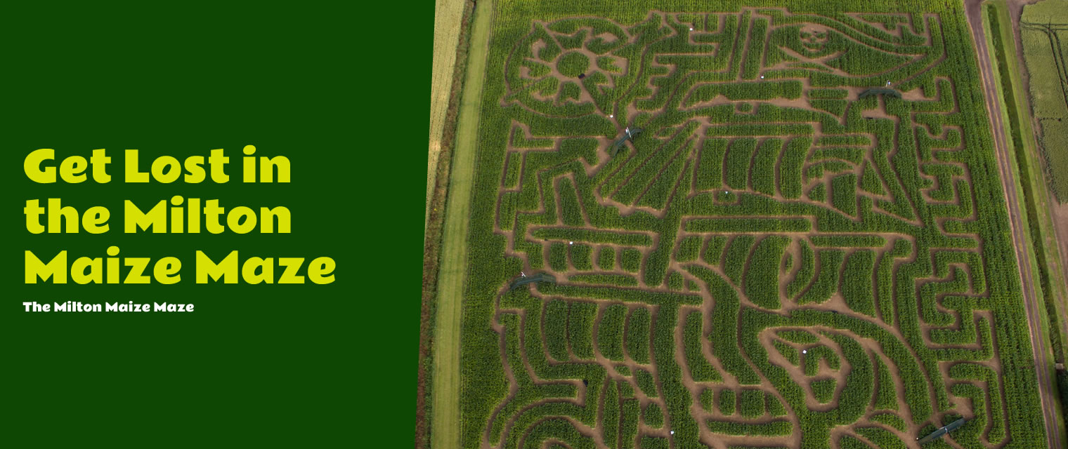 The Milton Maize Maze